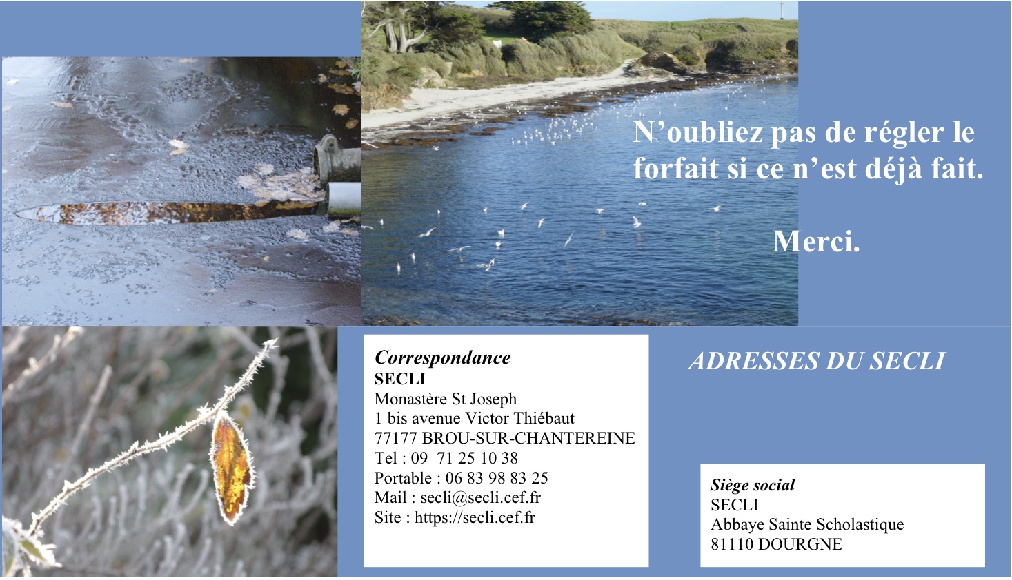 Temps ordinaire janvier 2022